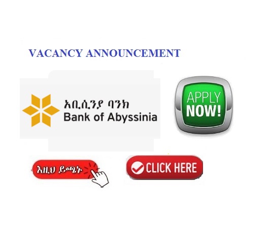 Bank Of Abyssinia Vacancy Announcement Jobs Sewasew