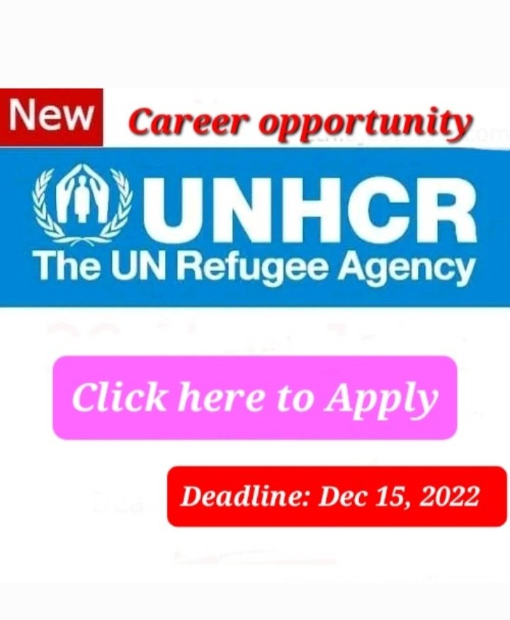 UNHCR Vacancy Announcement | NGO Career Opportunity 2022 - Sewasew