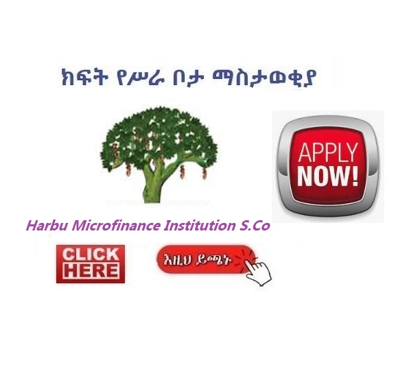 Harbu Microfinance Institution S.Co Vacancy Announcement Jobs Sewasew