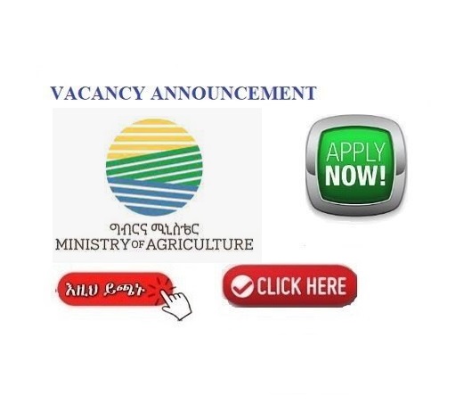 Vacancy Announcement Ministry of Agriculture Sewasew